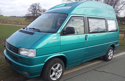 VW T4 Modell Palme